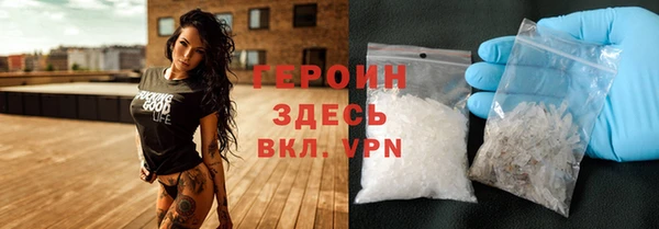 гидра Вязьма