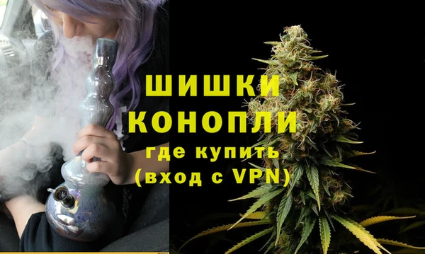 трава Горно-Алтайск