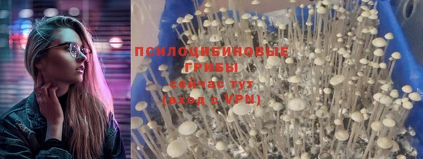трава Горно-Алтайск